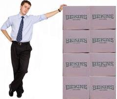 Bekins Moving Consultant